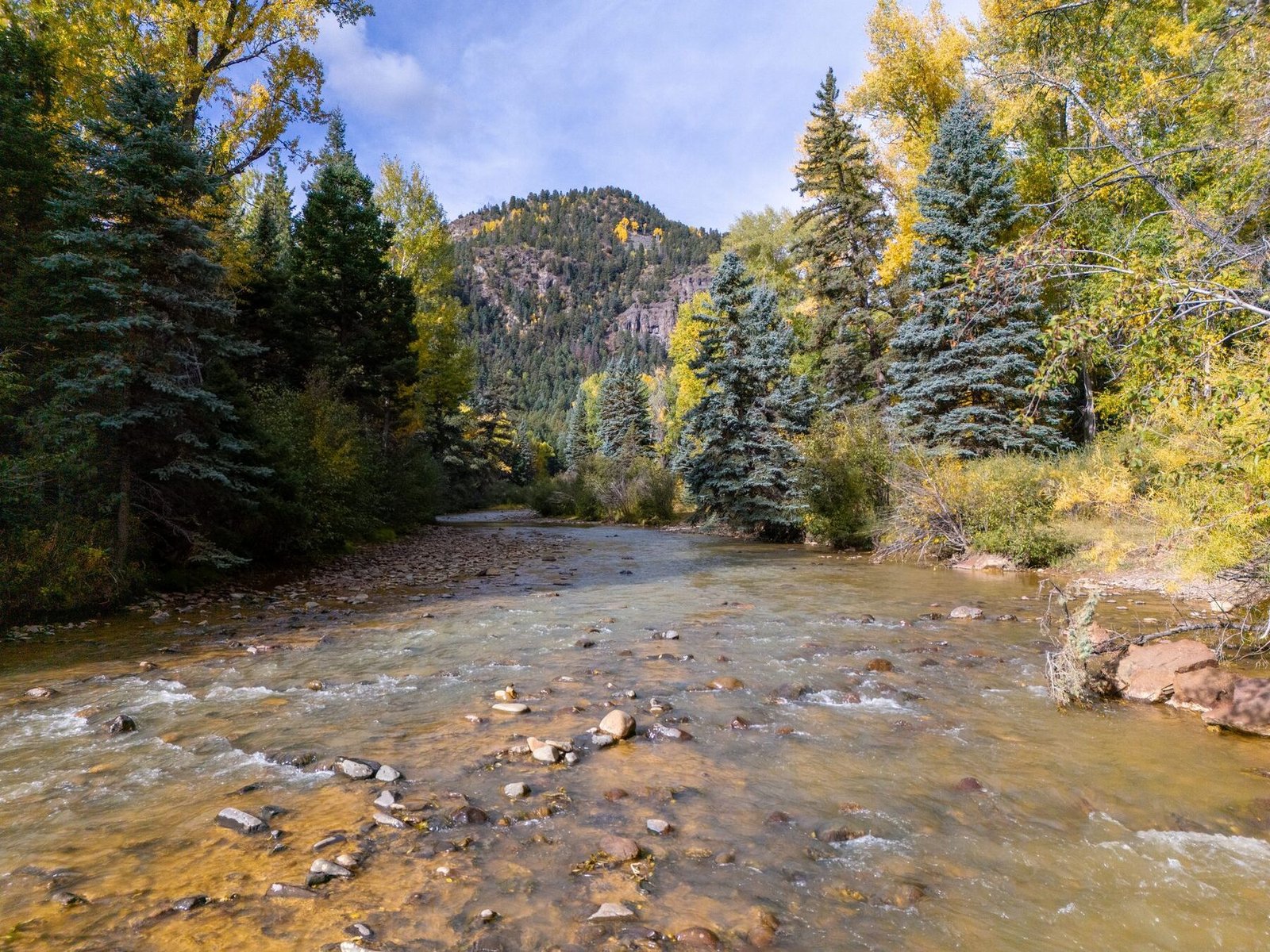 Conejos River fishing
